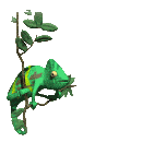 /i//chameleon_catch_fly_lg_clr.gif